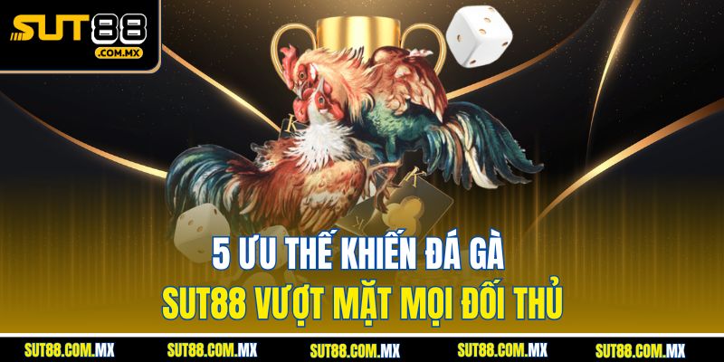 5 Ưu Thế Khiến Đá Gà SUT88 Vượt Mặt Mọi Đối Thủ