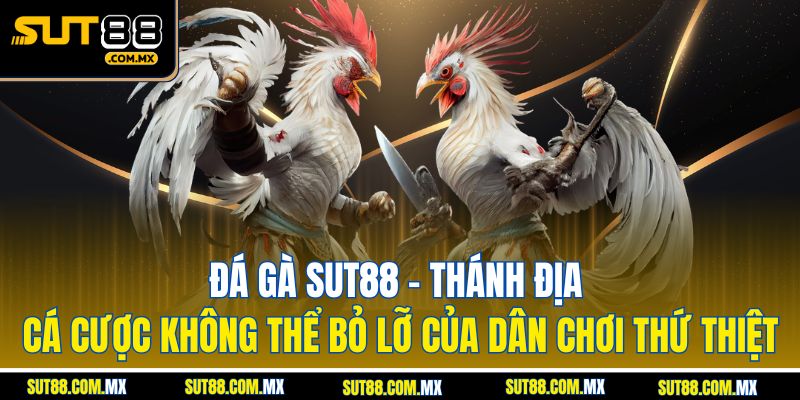 Đá gà SUT88 – Thánh địa cá cược không thể bỏ lỡ của dân chơi thứ thiệt