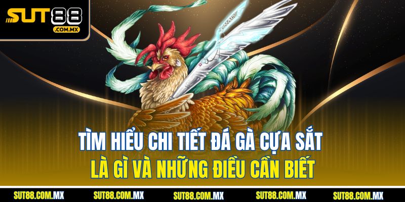 Tìm Hiểu Chi Tiết Đá Gà Cựa Sắt Là Gì Và Những Điều Cần Biết